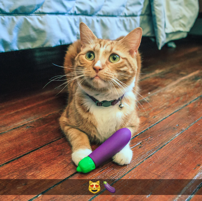 Eggplant Vibrador