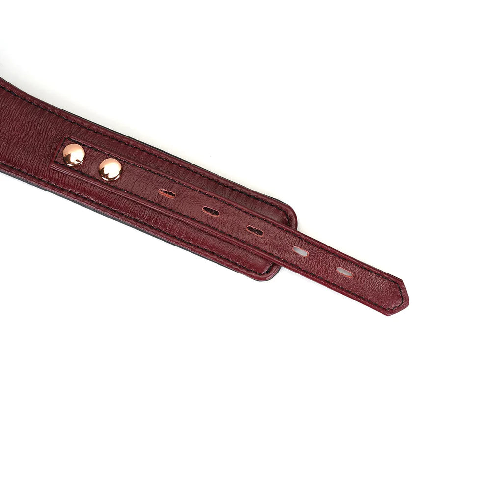 Wine Red Leather Collar with Leash