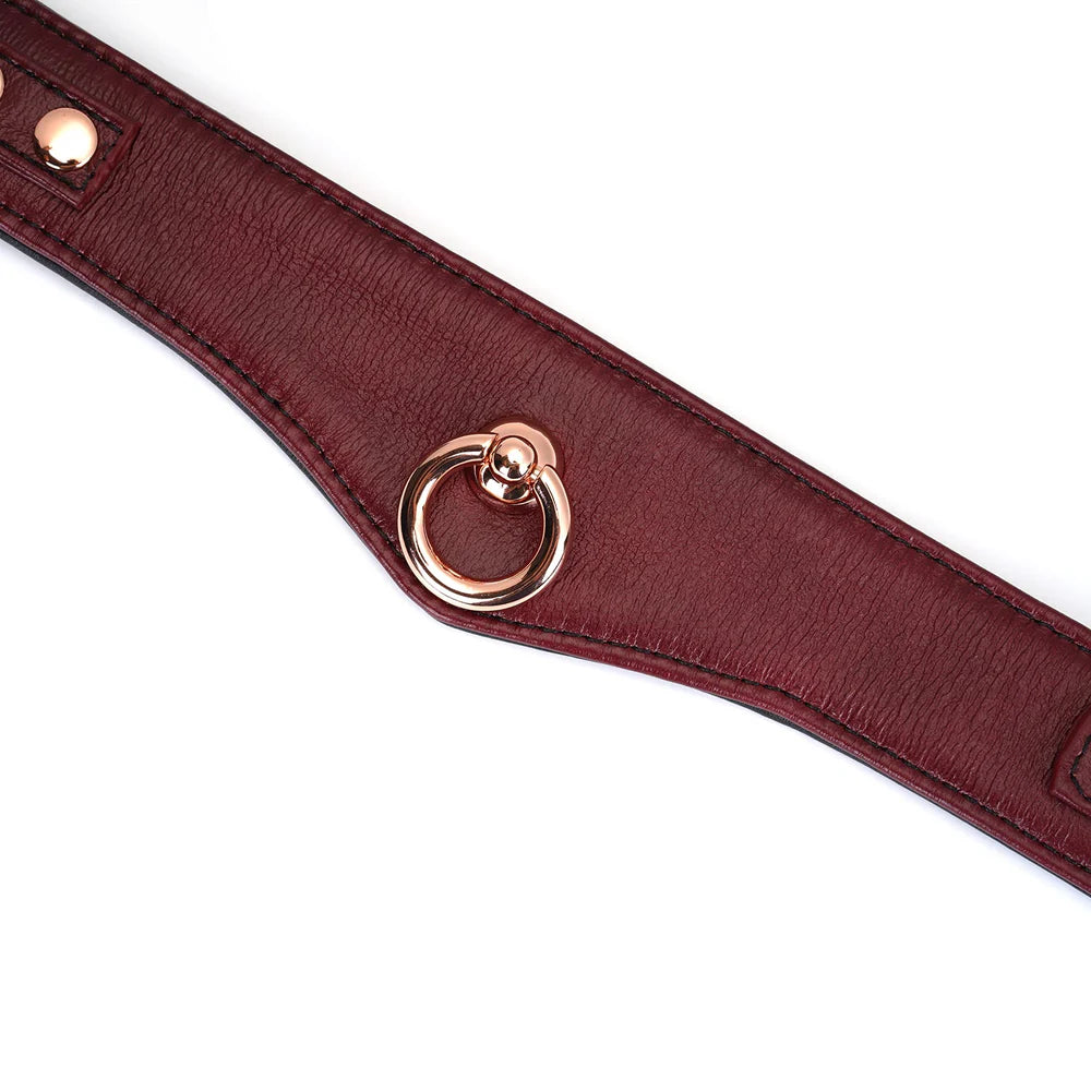 Wine Red Leather Collar with Leash