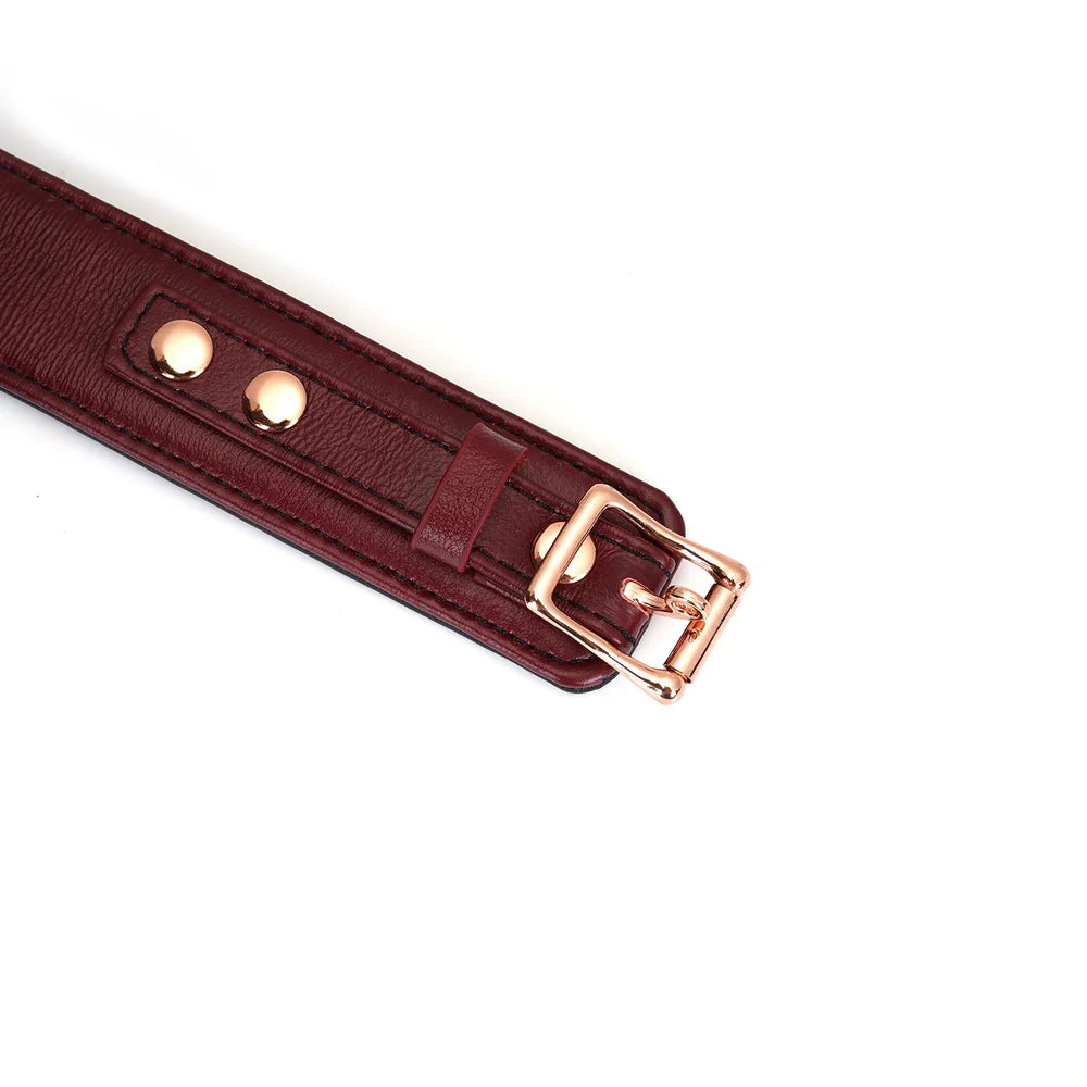 Wine Red Leather Collar with Leash