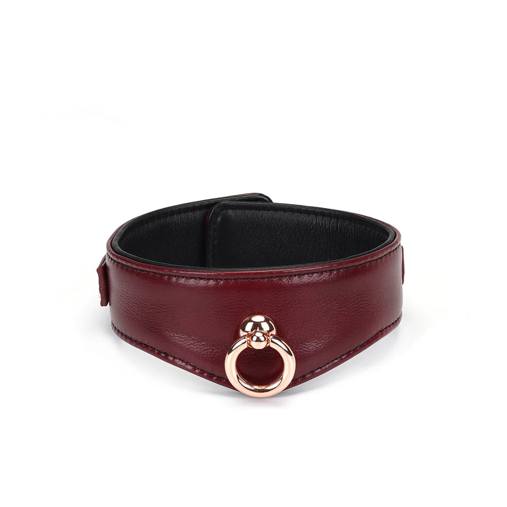 Wine Red Leather Collar with Leash