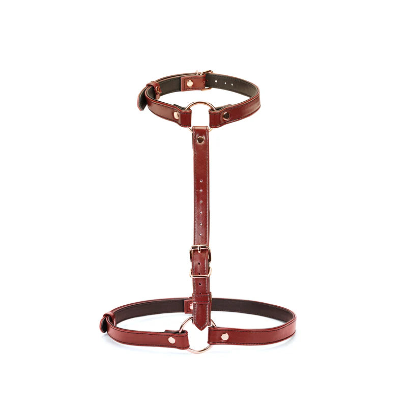 Arnês cintura em Couro (Wine Red)