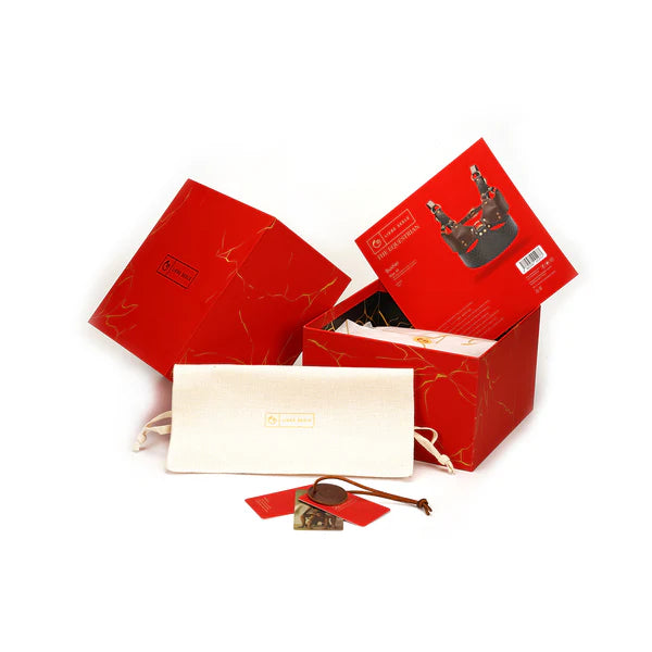 Leather Bustier (The Equestrian)