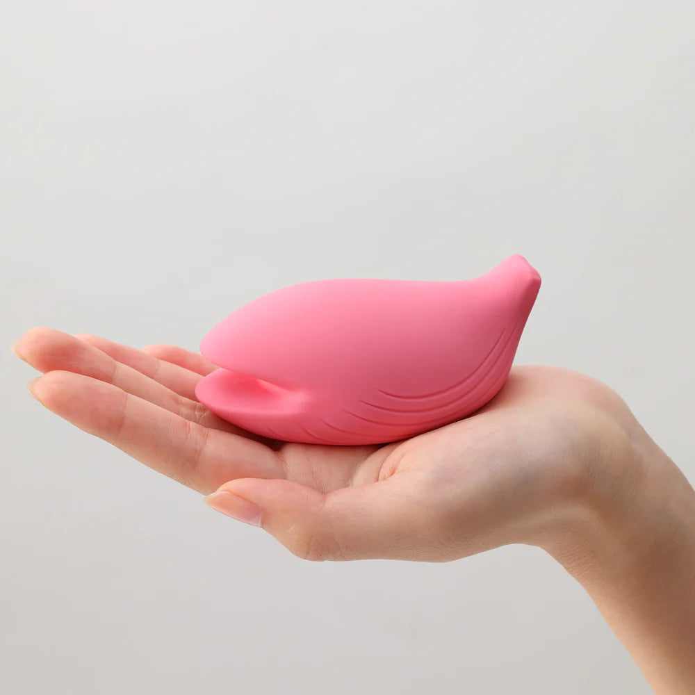 Iroha + External Vibrator